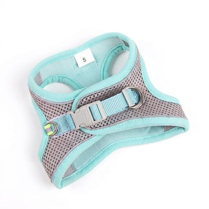 Small Dog Harness and Leash set in a refreshing mint green, featuring a breathable mesh design that provides ultimate comfort for puppies.
