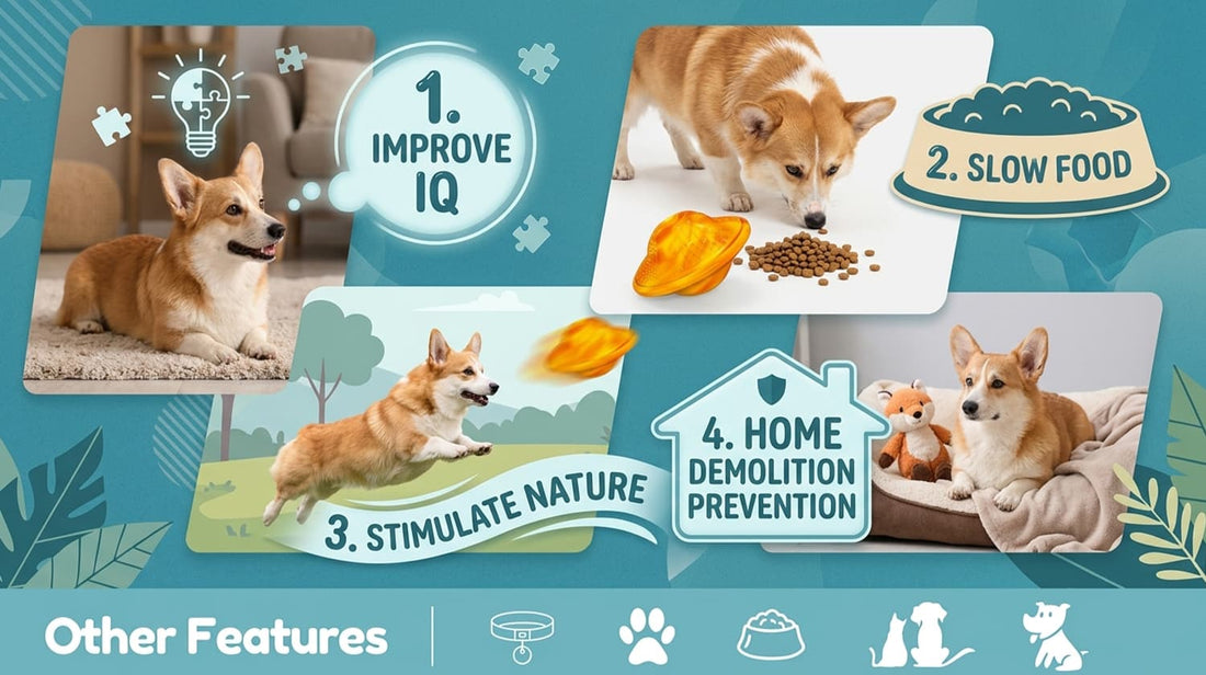 Smart dog puzzle toy benefits including improving IQ, promoting slow food habits, stimulating nature, and preventing destructive home chewing.