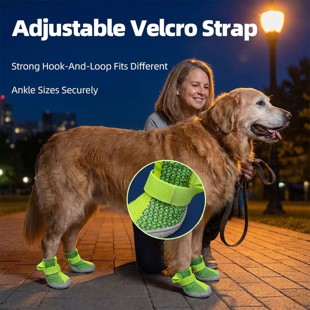 Golden Retriever wearing Soft Dog Shoes with secure hook-and-loop straps for a custom fit.