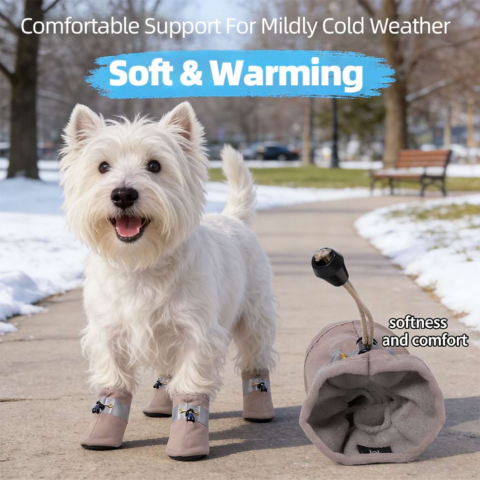 White terrier dog walking on a cold sidewalk wearing soft Paw Protectors that provide warmth and support without being stiff.