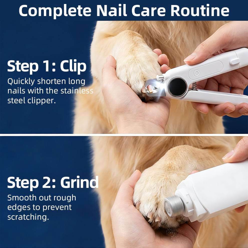 Two-step nail care routine: first shortening the claw with lighted dog nail clippers, then smoothing the rough tip with the electric grinder.