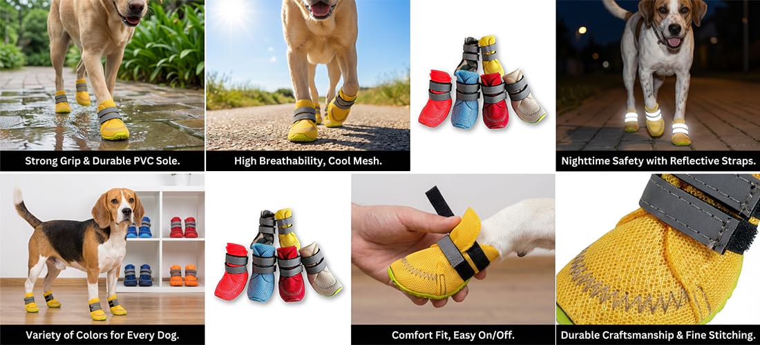 Summer Dog Boots infographic displaying breathable mesh, durable PVC sole, reflective safety straps, and easy-on adjustable fit.