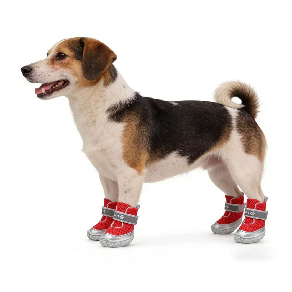 Small dog wearing red Summer Dog Boots standing comfortably on white background.