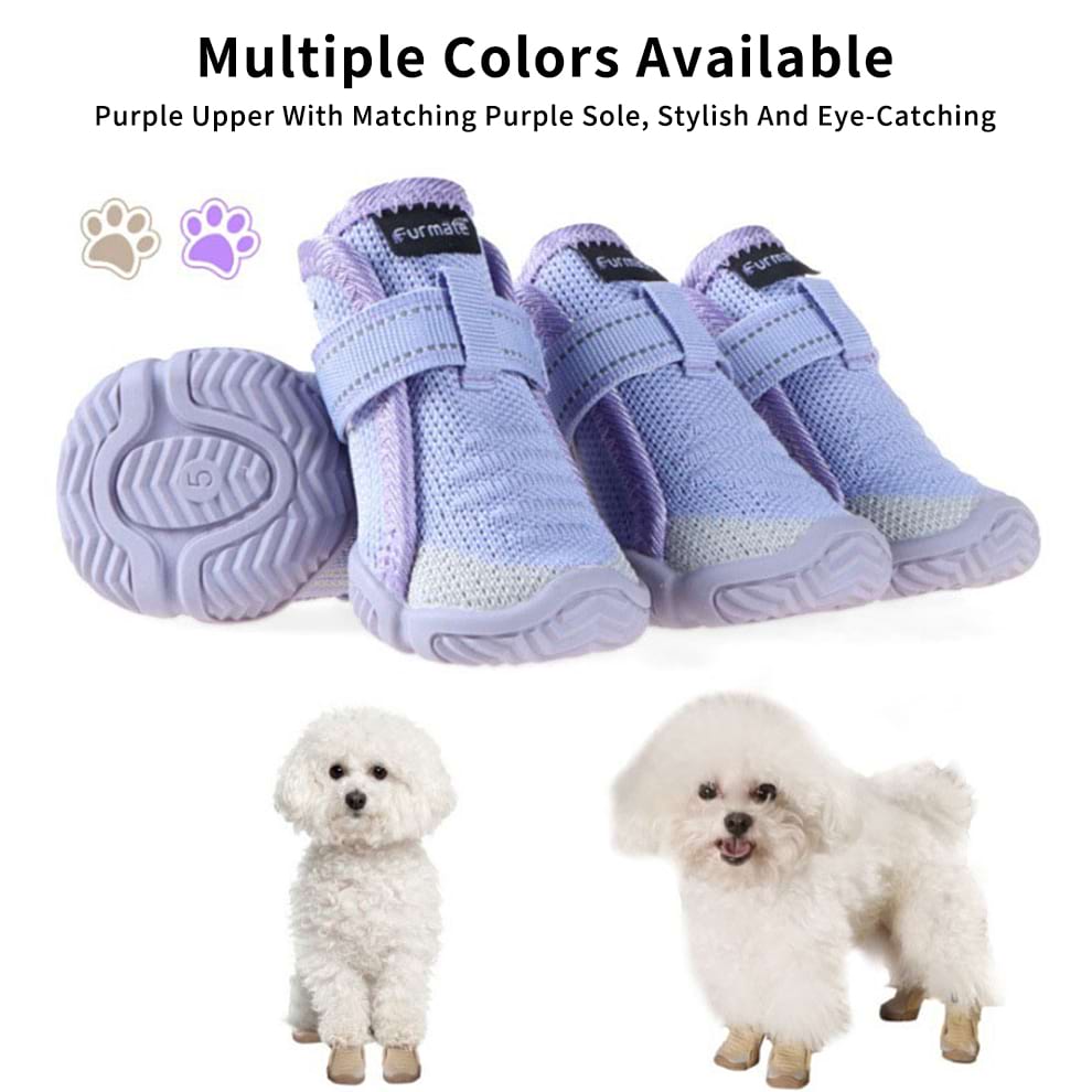 White poodle wearing purple Summer Dog Boots alongside red black and beige color options for stylish heat protection.