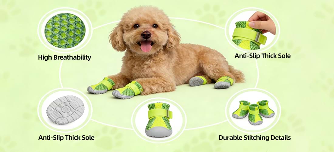 Poodle wearing green Summer Dog Shoes, displaying close-ups of the high-breathability Mesh Dog Boots fabric and durable stitching.