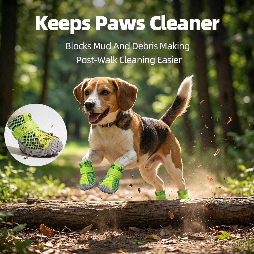 Beagle jumping outdoors with Summer Dog Shoes blocking mud and debris from paws.