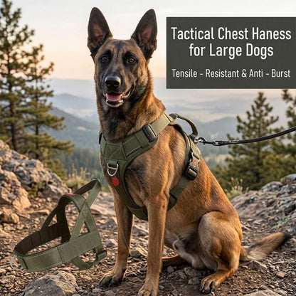 Tensile-resistant and anti-burst tactical chest harness worn by a Belgian Malinois, providing ultimate control for large working dogs.