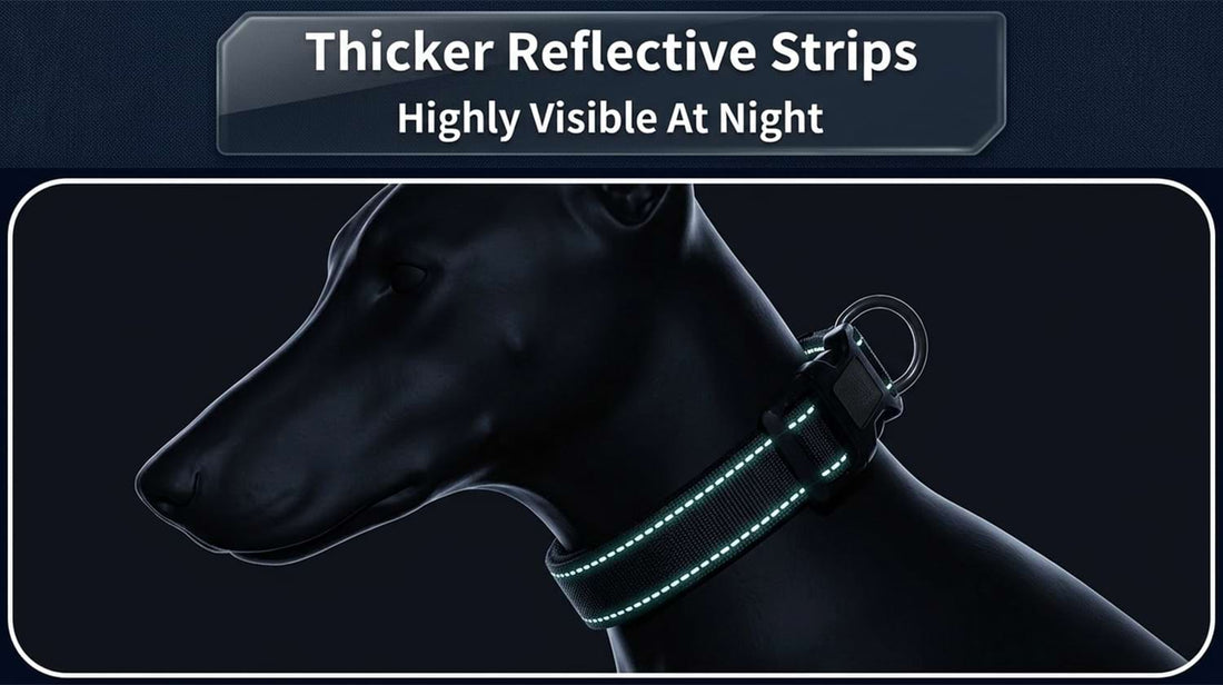 Thick reflective strips on the dog collar glowing brightly in the dark, highlighting its essential safety features for late-night walks.