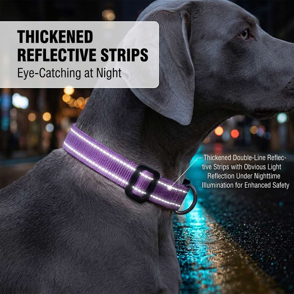 Thickened reflective strips on the nylon dog collar, offering obvious light reflection under nighttime illumination for enhanced safety.
