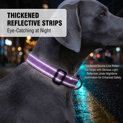 Thickened reflective strips on the nylon dog collar, offering obvious light reflection under nighttime illumination for enhanced safety.