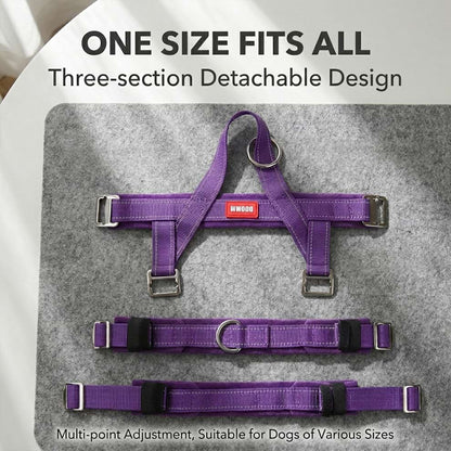 Three-section detachable design of the adjustable dog harness in purple, suitable for dogs of various sizes with multi-point adjustment.