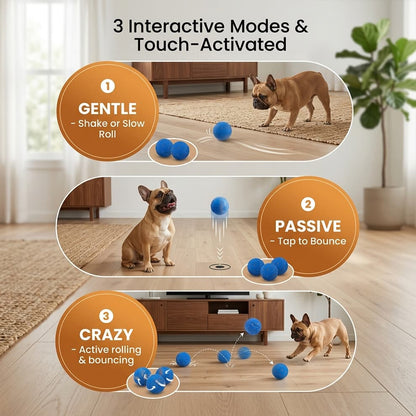 Touch-activated smart dog ball offering 3 interactive modes: gentle, passive, and crazy, adapting to your dog's unique play style.