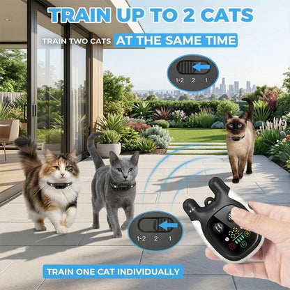 Training collars for cats with a dual control system, serving as interactive cat toys for indoor cats to train two pets simultaneously.