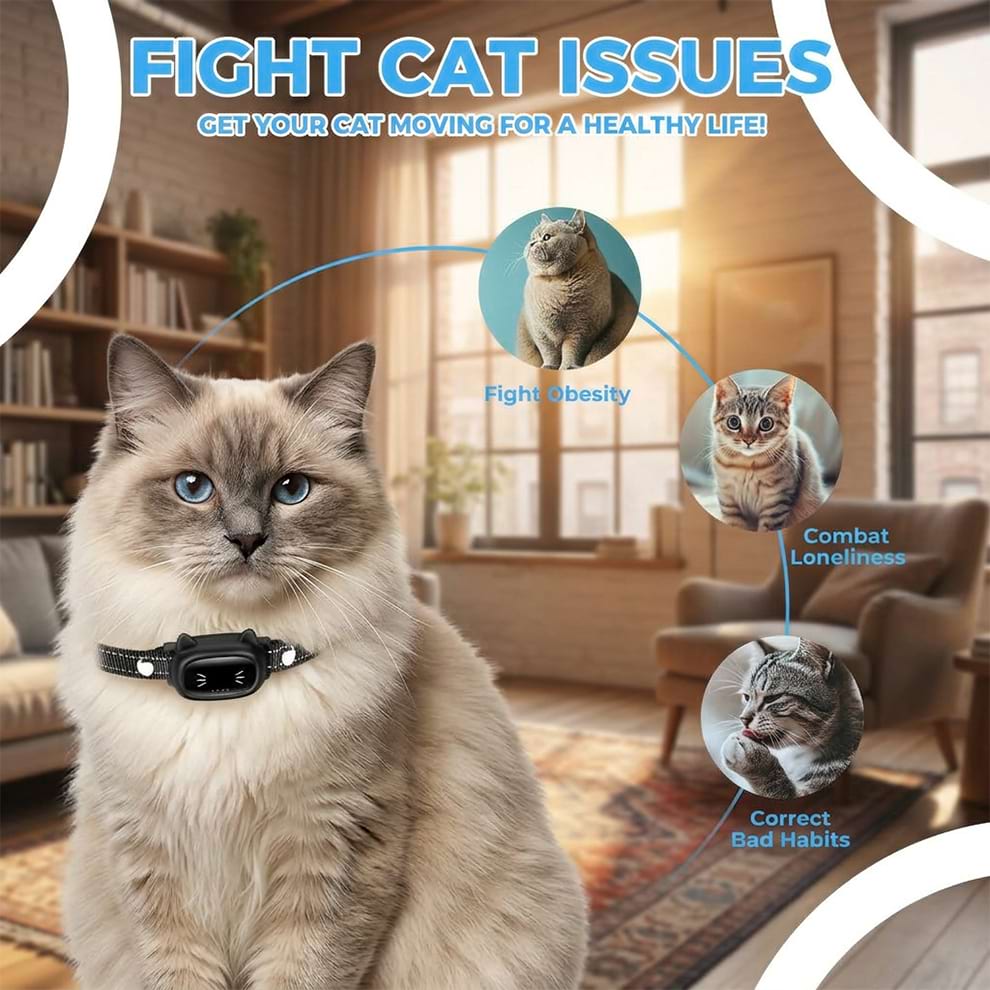 Training collars for cats acting as interactive cat toys for indoor cats to fight obesity, combat loneliness, and correct bad habits.