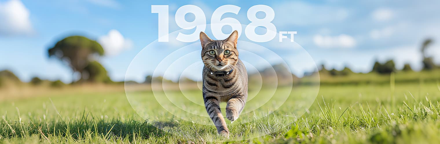 Training collars for cats providing 1968ft remote control range for outdoor cat training after wearing