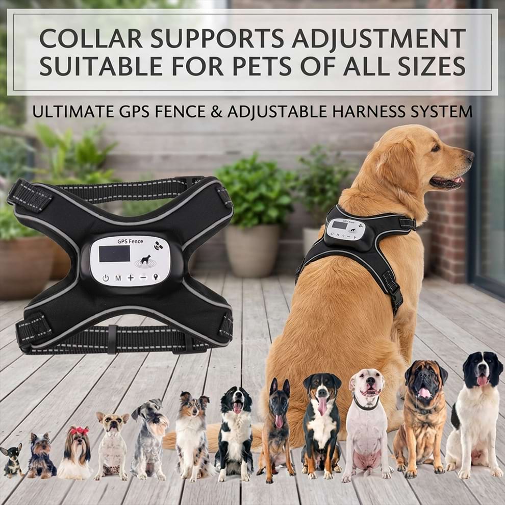Ultimate GPS fence and adjustable harness system, supporting custom adjustment suitable for pets of all sizes, from small breeds to large dogs.