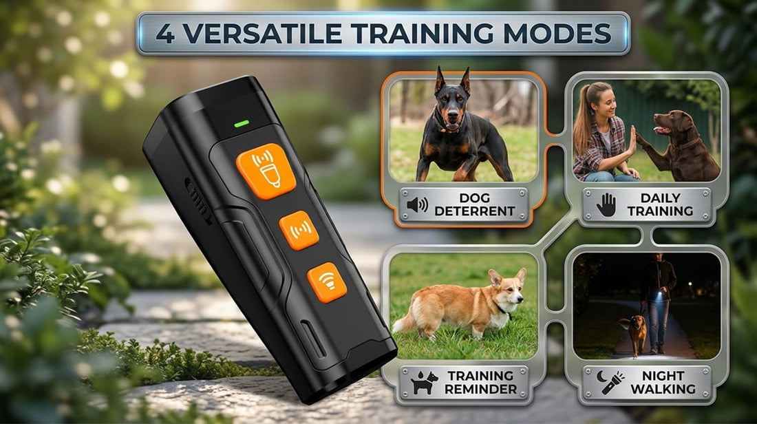 Versatile dog training device showcasing 4 modes for daily training, behavior reminder, dog deterrent, and safe night walking.
