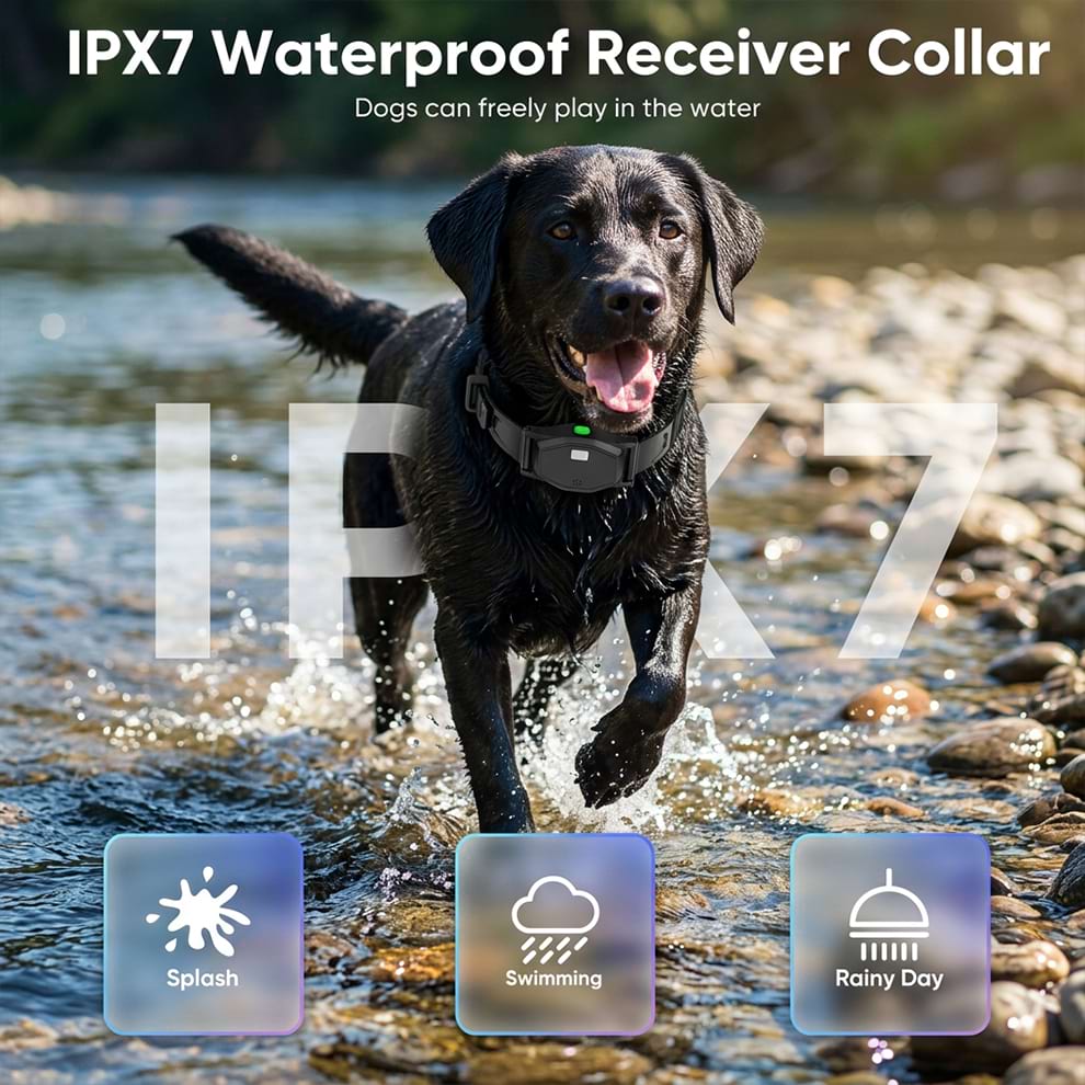 Waterproof dog fence collar with an IPX7 rating, allowing dogs to swim and play within the wireless dog fence boundary.