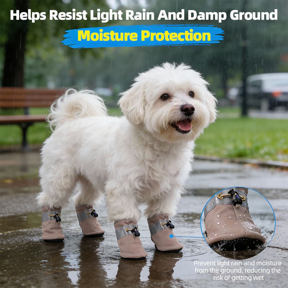 Small white dog standing on wet ground wearing Waterproof Dog Socks that protect paws from moisture and light rain.