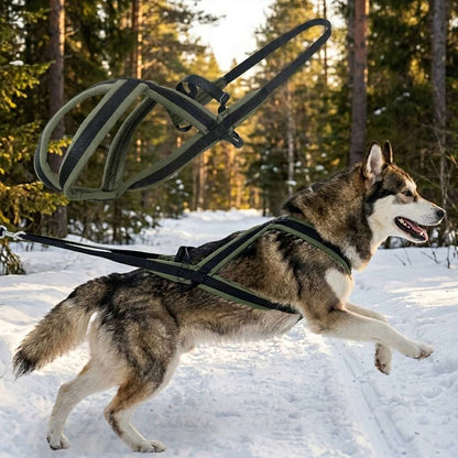 Waterproof mushing harness structure overlaid on a Husky running in the snow, highlighting the extended back design for safe weight distribution.