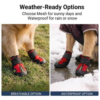 Comparison of breathable dog shoes for sunny days versus waterproof dog boots for rain and snow protection.