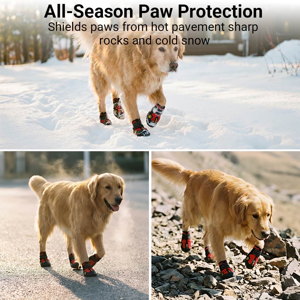 Collage showing dog walking in winter dog shoes for snow and protecting paws from sharp rocks and heat.