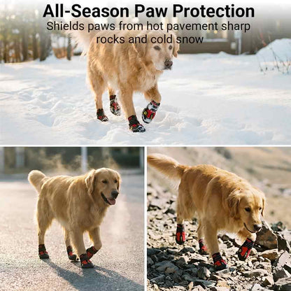 Collage showing dog walking in winter dog shoes for snow and protecting paws from sharp rocks and heat.