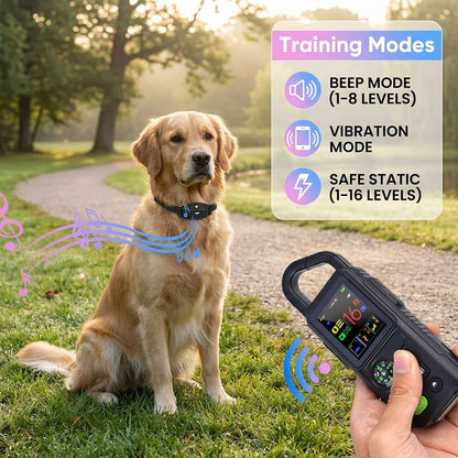 Wireless dog fence system featuring beep, vibration, and static training modes to maintain an outdoor yard boundary for dogs.